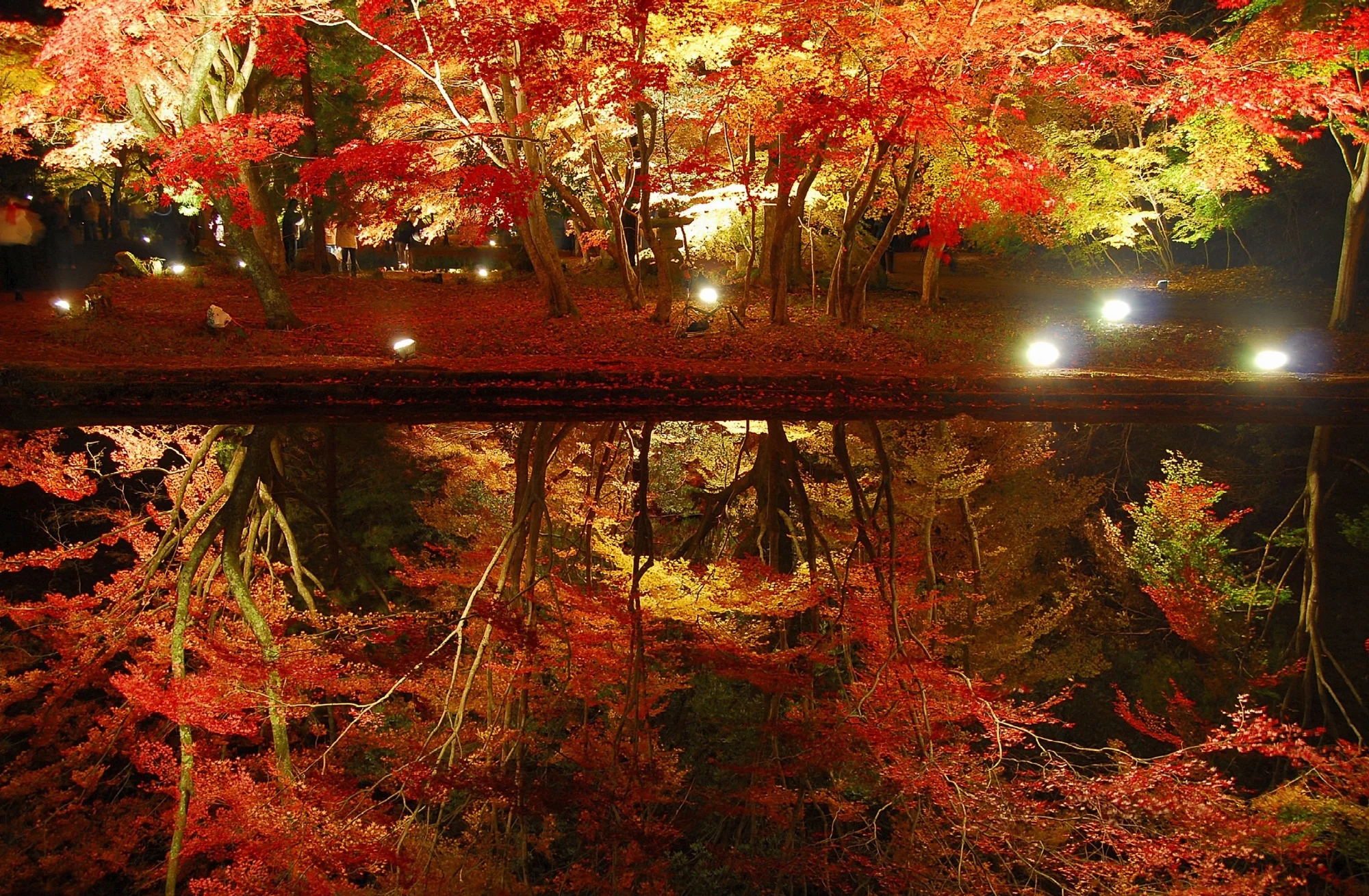 紅葉した木々とその姿を鏡のように映す池