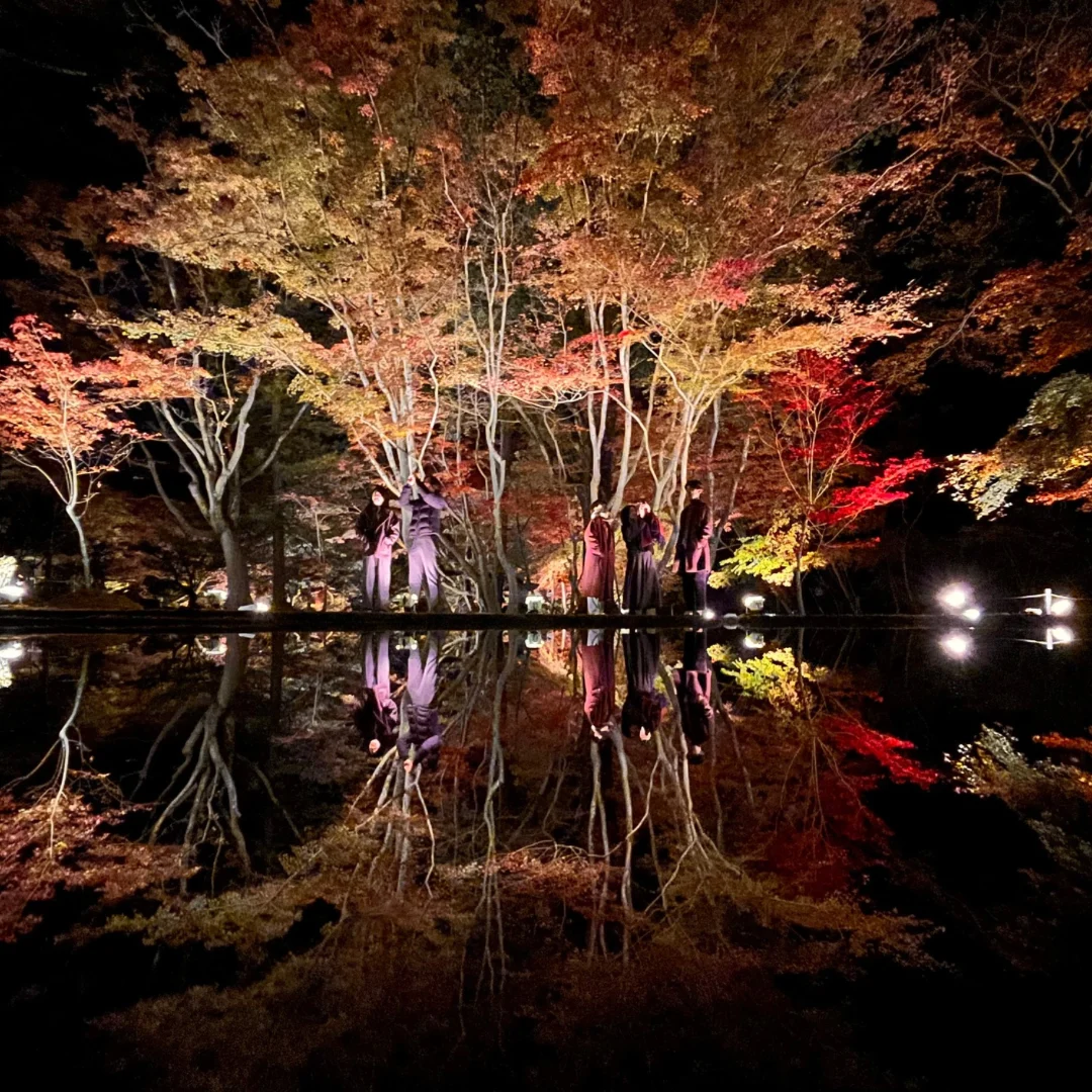 ライトアップされた池のほとりで紅葉を楽しむ人たち